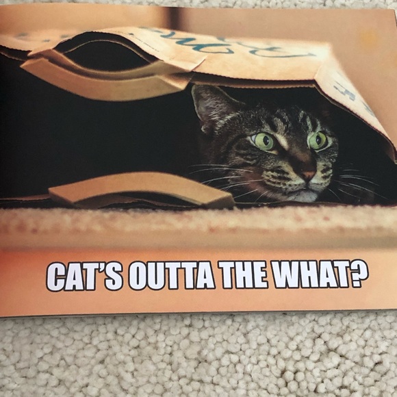 4. piece cat lover gift selection stocking stuffer - Picture 10 of 14